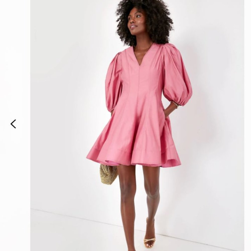 Tuckernuck Pink Loraine Dress (NEW)